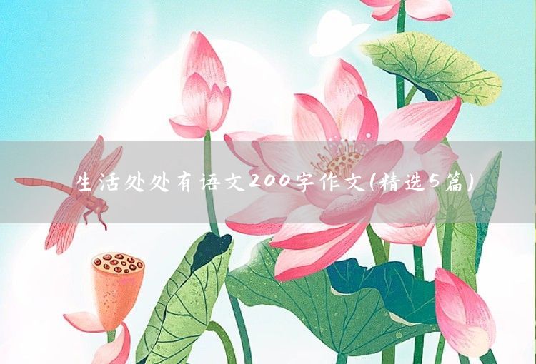 老照片作文200字(精選5篇)